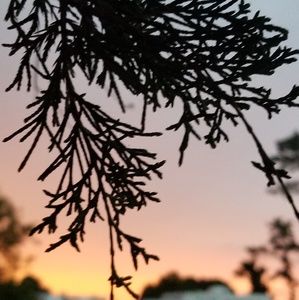 Meet your Posher, Pj